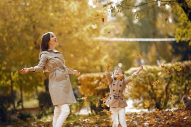 Тематическое фото www.pexels.com