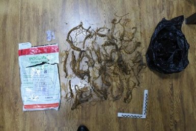 Тот самый женьшень, который пытался вывезти китайский предприниматель Дальневосточная транспортная прокуратура