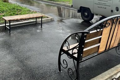 Новость дня