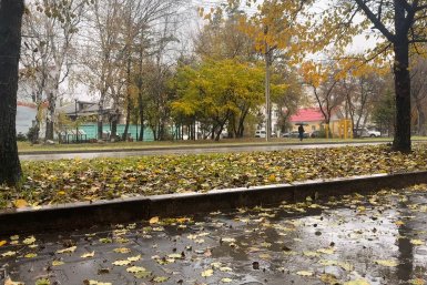 Уссурийск ИА UssurMedia