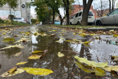 Новость дня