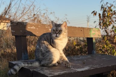 Тематическая фотография ИА UssurMedia