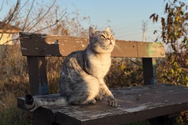 Будет свежо Марина Кудрявцева, ИА UssurMedia