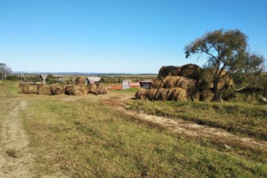 АЭС построят на месте бывшего колхоза "Краснояровский" под Уссурийском