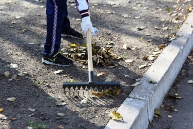Новость дня