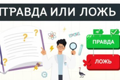 Правда или ложь: только настоящий ученый раскусит подвох и определит истину - тест