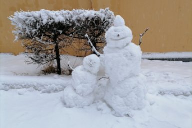 Новость дня