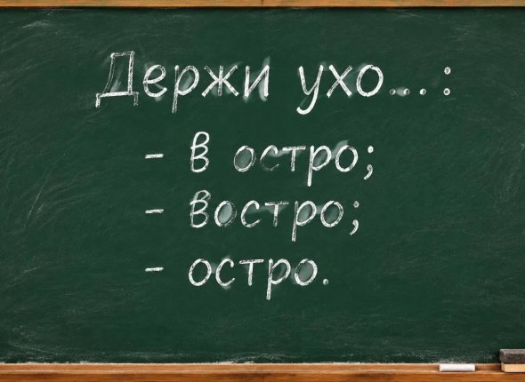 Проверьте свою грамотность за 5 секунд: как пишется это коварное выражение — или вы прогуливали уроки?