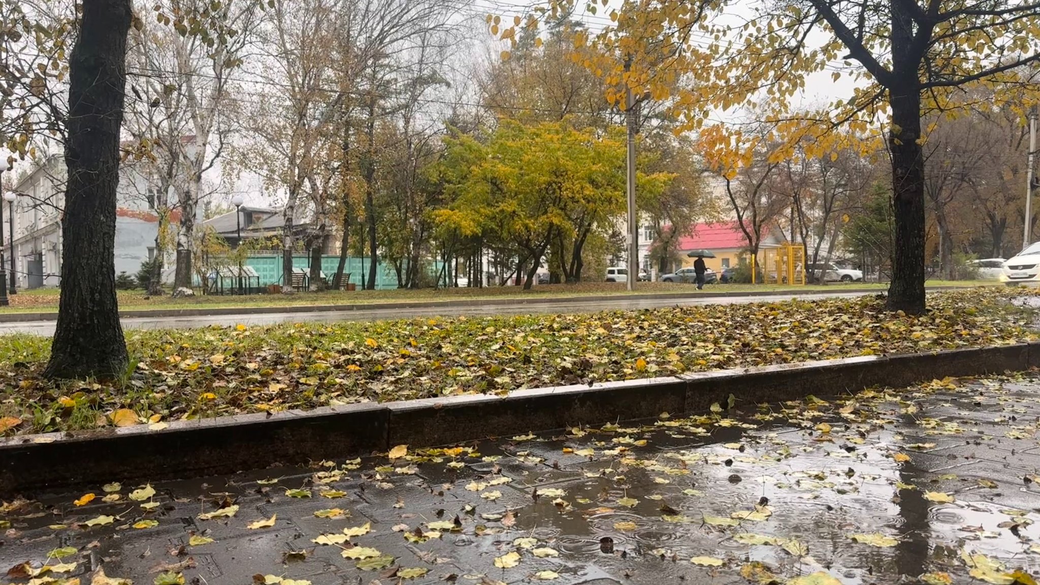 Уссурийск ИА UssurMedia